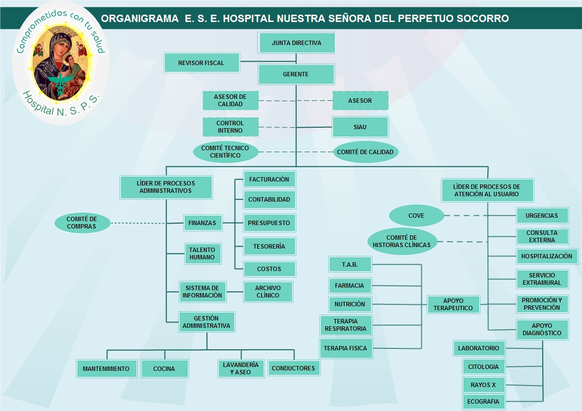 organigrama